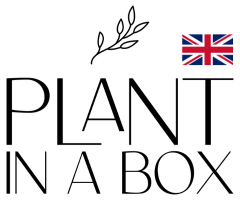 Plant in a Box